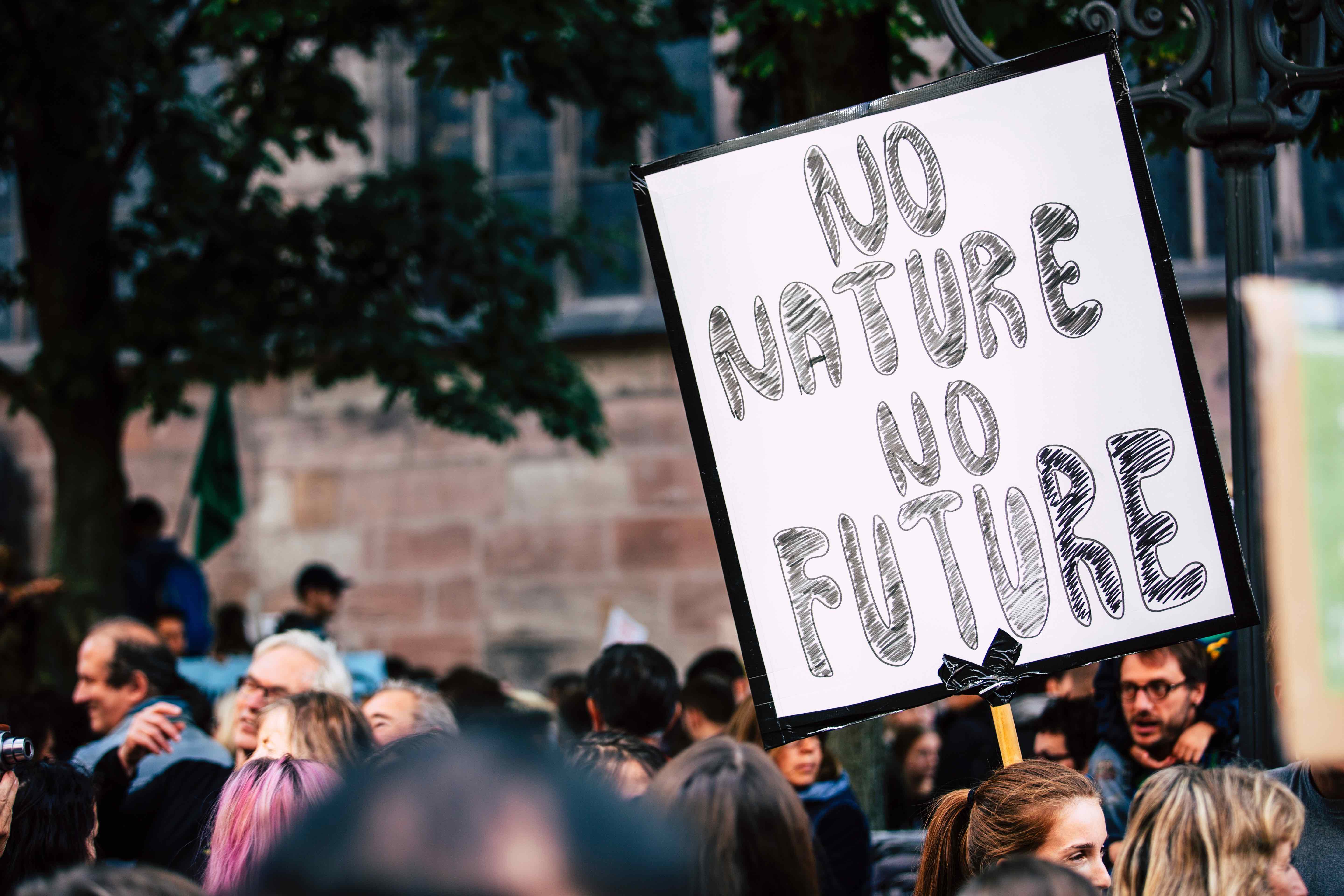 Someone holding a protest sign: No Nature No Future